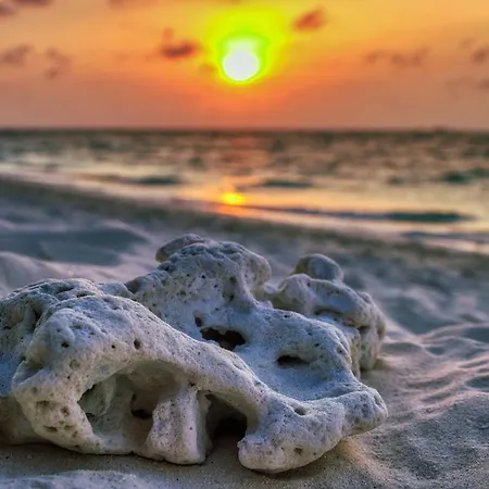 Stylish 2 Bedroom In Pegia Peyia