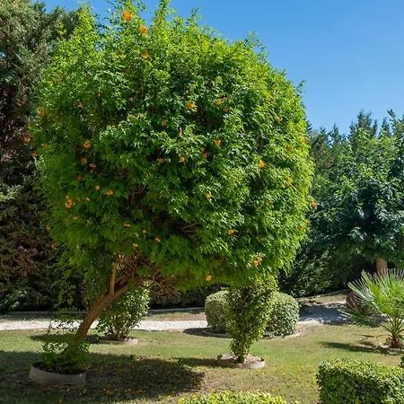 Stylish 2 Bedroom In Pegia Daire