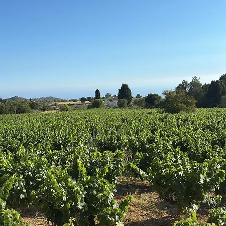 Stylish 2 Bedroom In Pegia Lejlighed