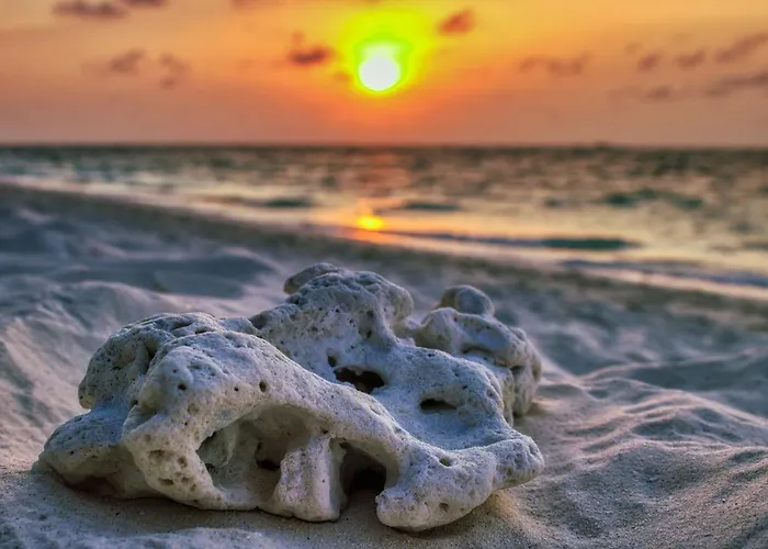 Stylish 2 Bedroom In Pegia Peja