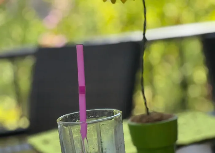 Stylish 2 Bedroom In Pegia * Peja