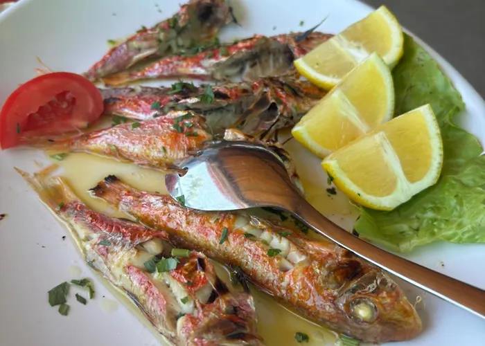 Apartament Stylish 2 Bedroom In Pegia Peja